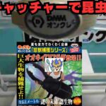 【UFOキャッチャー】全長1メートル！？オオキイクワガタを捕まえろ【DMMオンクレ】