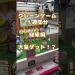 【１週間総集編‼️】クレーンゲームプレイ動画#クレーンゲーム#shorts #クレーンゲーム攻略