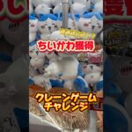 【神回】ちいかわをクレーンゲームで獲得😇 #shorts