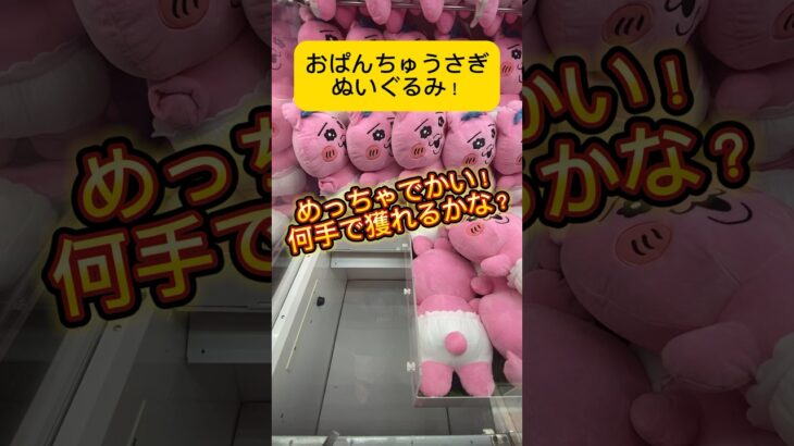 めっちゃでかいおぱんちゅうさぎのぬいぐるみ！オススメの狙いポイントはココ！何手で獲れるかな？#shorts #おぱんちゅうさぎ #クレーンゲーム