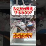 【ちいかわ】クレーンゲームでハロウィンちいかわを狙ったらやばかった  #shorts