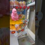 納涼祭の予算が少なすぎて困ってます… #お菓子 #クレーンゲーム #ufoキャッチャー #cranegame