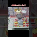 【クレーンゲーム攻略】ベネクス浦和店のufoキャッチャーで２個置きのCHINOフィギュアの景品をゲット #shorts