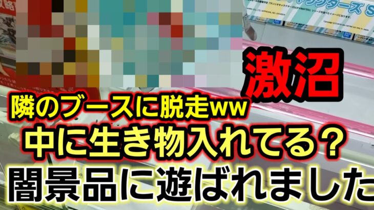 【趣味】久々の闇景品に当たり激沼ｗ【クレーンゲーム】