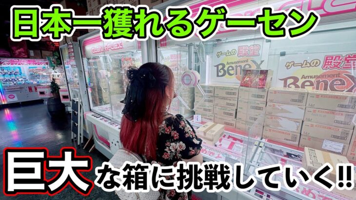 【クレーンゲーム】食品の在庫日本一では？ここに来れば絶対食べたいお菓子が見つかります！【ベネクス大和、ベネクス平塚】