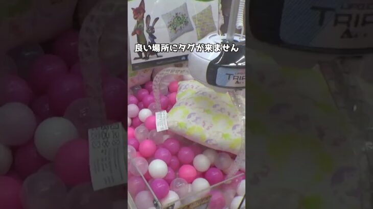 激ムズなクッションもタグに入れたら激アツチャンス＃クレーンゲーム