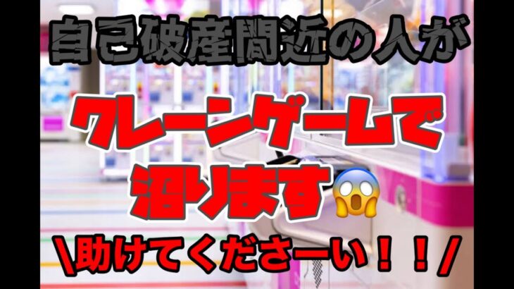 【クレーンゲーム】自己破産間近の人がクレーンゲームで沼ります😨