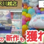 【ベネクス川越店】クレーンゲーム日本一獲れるお店で新作の人気景品を取るコツ