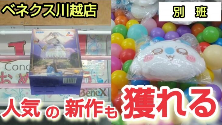 【ベネクス川越店】クレーンゲーム日本一獲れるお店で新作の人気景品を取るコツ