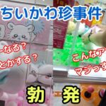 ちいかわ珍事！？色々ありますよね💦【クレーンゲーム】