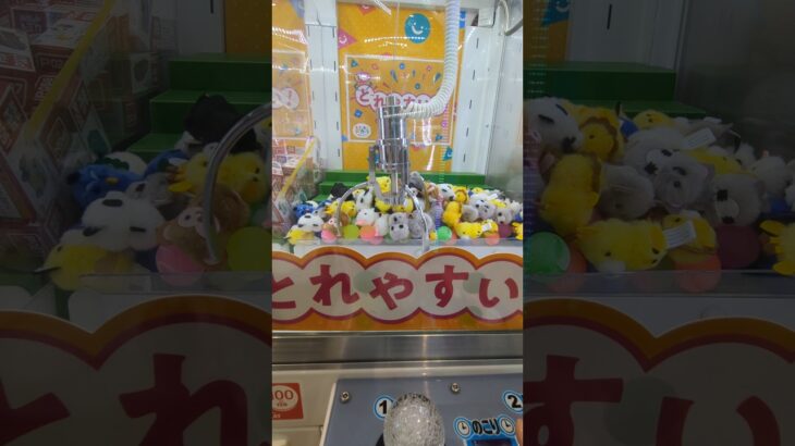 【クレーンゲーム】大量ゲット技😏✌ #ショート