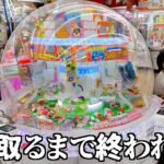 【地獄】このタイプのクレーンゲームの中身全部取るまでやってみた。