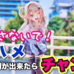 【クレーンゲーム】見逃さないで！横ハメ、この隙間が出来たら、チャンス！！最終章なんだよーー！