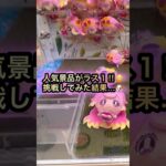 【人気景品がラス１‼︎】楽市楽座で確率機に入るプリキュアグッズに挑戦‼︎