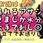 【クレーンゲーム】暴れまくるアサシン！夏まじか水分補給！大手で差し回し！！