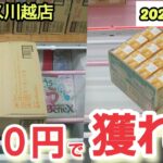 【月刊ベネクス川越店】クレーンゲーム日本一獲れるお店は100円で獲れる景品がたくさんあった #2024年7月