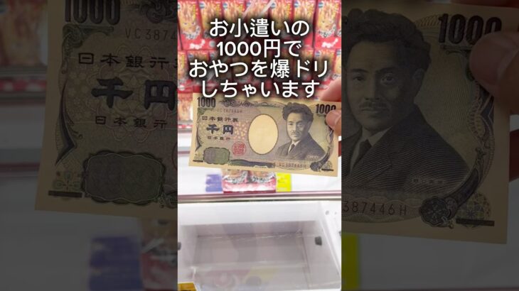 お小遣い1000円でお菓子を爆取りしちゃいます！ #cranemachine  #クレーンゲーム #ゲーセン #clawmachine #UFOキャッチャー