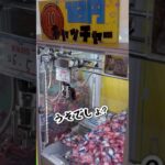 【10円キャッチャー】万代書店でカニ歩きチャレンジ！10円2クレはとれるの？クレーンゲームでお菓子を乱獲！#クレゲ#クレーンゲーム#ベネクス川越#ぐるぐる大帝国＃万代書店#ゲーセン＃10円キャッチャー