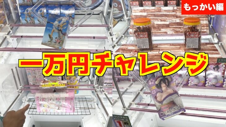 【初心】久しぶりに1万円で景品を何個取れるかやってみたらまさかの結果にwwww【クレーンゲーム・UFOキャッチャー】