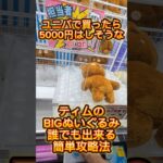 ユニバで買ったら5000円はしそうなティムのBIGぬいぐるみを誰でも簡単に出来る攻略法公開