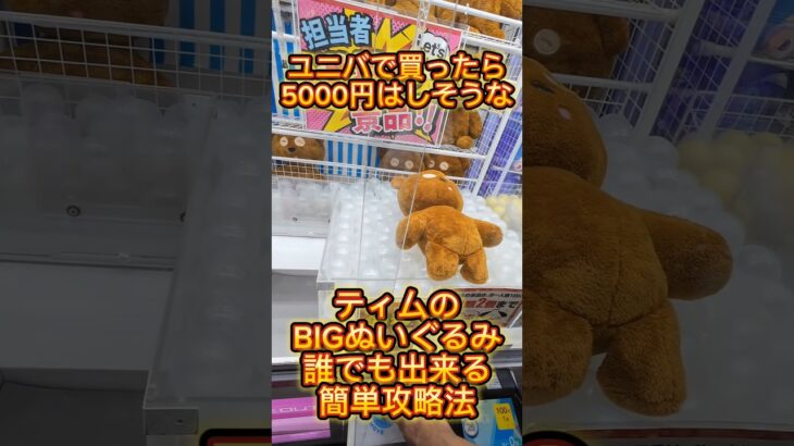 ユニバで買ったら5000円はしそうなティムのBIGぬいぐるみを誰でも簡単に出来る攻略法公開