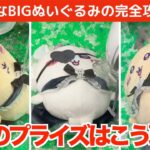 【クレーンゲーム】ちいかわ・てんし♡あくま・あくまなBIGぬいぐるみの完全攻略法！