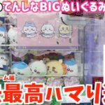 【ちいかわ】最新プライズてんしなBIGぬいぐるみ3種に挑戦！過去最高のエグすぎる結果になった【ちいかわクレーンゲーム】【ちいかわグッズ】【おはるのちい活】【chiikawa】