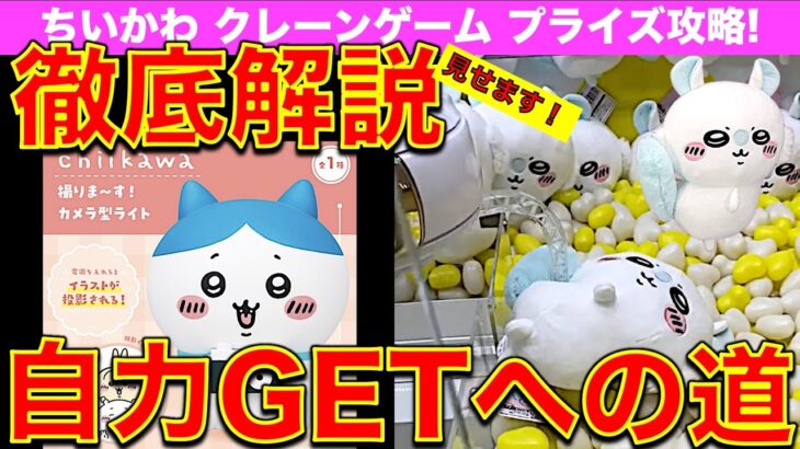 【徹底解説】ちいかわクレーンゲーム ハチワレ撮りま～す! カメラ型ライト／モモンガおしりふりふりBIGぬいぐるみ　最新プライズ自力ゲット方法！テクニック教えます！【UFOキャッチャー】