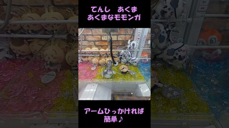 【ちいかわ】てんしあくまなモモンガぬいぐるみ簡単にGET【クレーンゲーム/UFOキャッチャー】