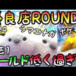 優良店ROUND1が帰って来た!!過去1シールドが低くなっている、、、何を血迷った!?(いい意味でw)