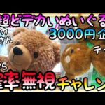 シールドが鬼低い設定に生まれ変わった優良店ROUND1で超超どデカいぬいぐるみを3000円で確率無視チャレンジ!!