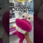 ぬいぐるみを子供にプレゼントするクレーンゲーマー大学生【クレーンゲーム/UFOキャッチャー/コツ/攻略/取り方】#クレーンゲーム #ufoキャッチャー #shorts #fyp #japan