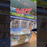 クレーンゲームで知らないと損するチート技を小学生の女の子に教えてみた。(UFOキャッチャー)#shorts