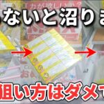 【 クレーンゲーム 】お菓子攻略！デカ箱お菓子はこうやって獲れ！【 ufoキャッチャー　ベネクス大和店 】