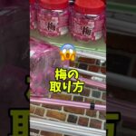 【クレーンゲーム】梅攻略‼️保存版です#梅#うめ#クレーンゲーム#裏技#ゲームセンター#ゲーセン#クレゲ#ufoキャッチャー # #ワンピース#クレーンゲーの沼さん#名探偵コナン#ゴジラ#アーニャ