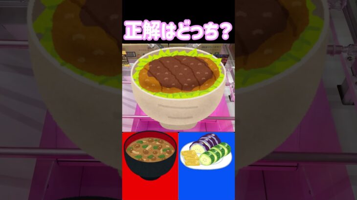 クレーンゲームの正解はどっち? スープはるさめ　わかめと野菜　エースコック#クレーンゲーム #ufoキャッチャー #クレーンゲーム攻略 #クレーンゲームお菓子 #クレーンゲームのコツ