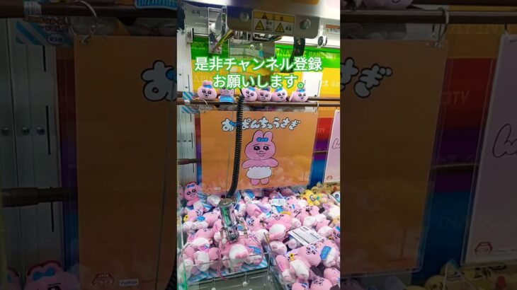 #おぱんちゅうさぎ#ufoキャッチャー #クレーンゲーム #クレーンゲーム景品 #ウサギ#ゲーム