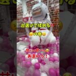 【クレーンゲーム】台選びで揉める夫婦⁉️#回遊館西条店#夫婦#揉める#ゲームセンター # #ワンピース #アーニャ #クレゲ #コナン#ドラゴンボール#ゴジラ#スパイファミリー#ufoキャッチャー