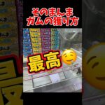 お店が震え上がるガムの獲り方😱#クレーンゲーム #ufoキャッチャー #ゲームセンター #攻略 #橋渡し #お菓子 #bc