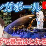 ライブ配信【シンガポール】海外のクレーンゲームって取れるのか！？【クレーンゲーム】