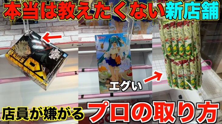 【クレーンゲーム】知らない８割が損してます！絶対に見て！本当は教えたくない新店舗で店員が嫌がるプロの取り方で景品乱獲しました！！【明日から使えるテクニック】