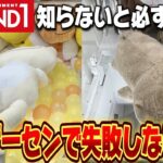 【クレーンゲーム】初潜入！！絶対沼りたくないから考え抜いた結果、、、【ラウンドワン】