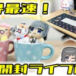 【開封＆レビュー】ジョイステの限定プライズを紹介していくぞ！！　#クレーンゲーム