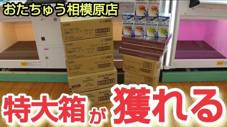 【おたちゅう相模原店】クレーンゲームで特大箱の景品の取り方を紹介