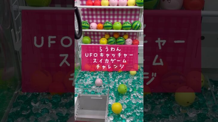 【クレーンゲーム】スイカゲームの景品がむずすぎて好きw#ufoキャッチャー #クレーンゲーム #ゲームセンター #round1 #スイカゲーム