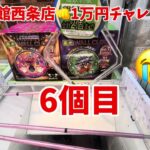 【クレーンゲーム】クレーンゲームの沼さん1万円で何個取れたの⁉️#チャレンジ#攻略#裏技