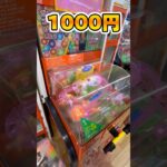 お小遣い1000円の使い道　#shorts #お菓子 #クレーンゲーム #ufoキャッチャー #cranegame