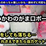 ちいかわのがま口ポーチ！これ獲るの難しい…2本掴みで獲れないモモンガを実力ゲットしてきた！【クレーンゲーム】【JapaneseClawMachine】【인형뽑기】【日本夾娃娃】