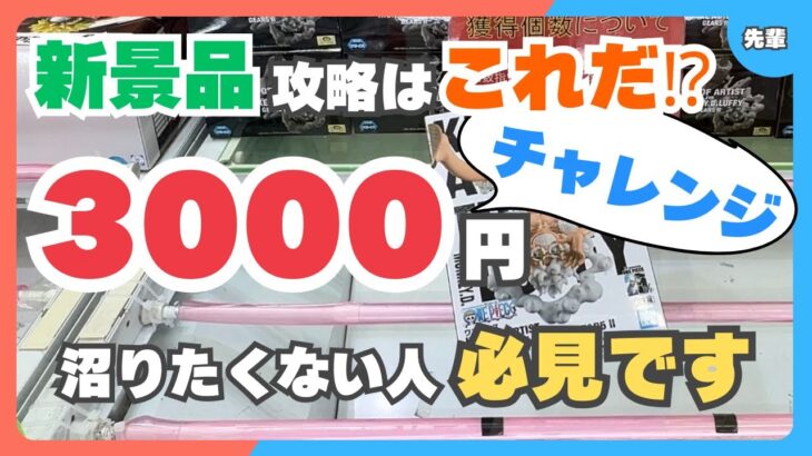 【クレーンゲーム】予習は大事です！新景品3000円で橋渡しチャレンジ【シカマル】【ニカルフィ】