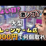 今回は大型クレーンゲーム専門店で38歳。童心に返る。